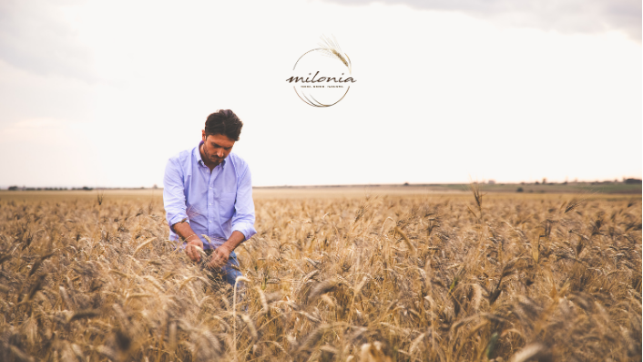 Triticum - fornitori - Milonia