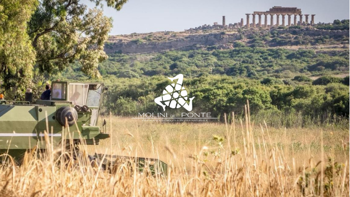 Triticum - Fornitori - Molini del Ponte