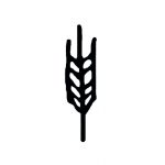 Triticum micropanificio agricolo - logo spiga