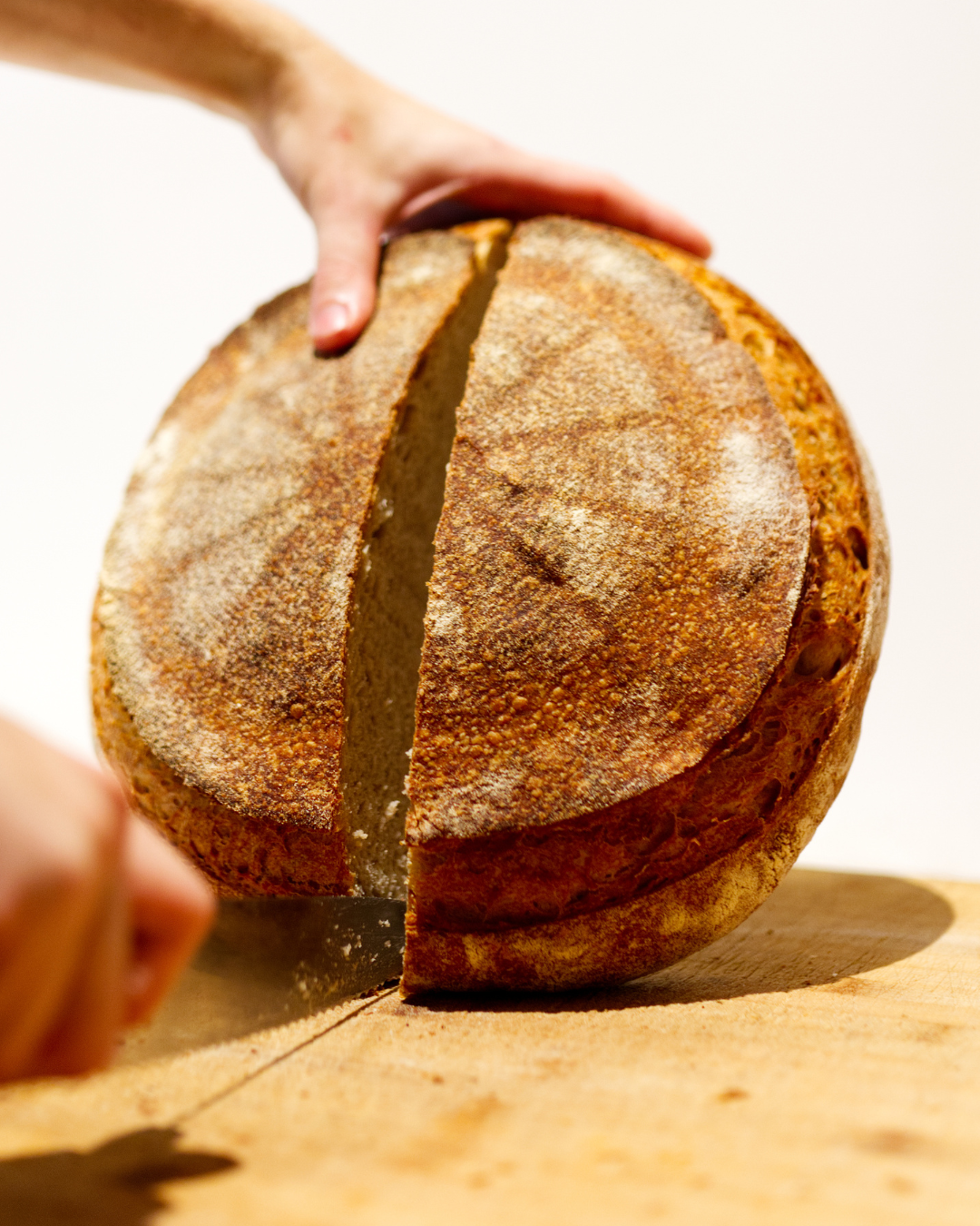 triticum micropanificio agricolo prenotare