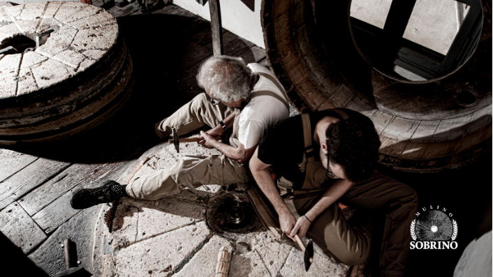 triticum micropanificio agricolo fornitori molino sobrino