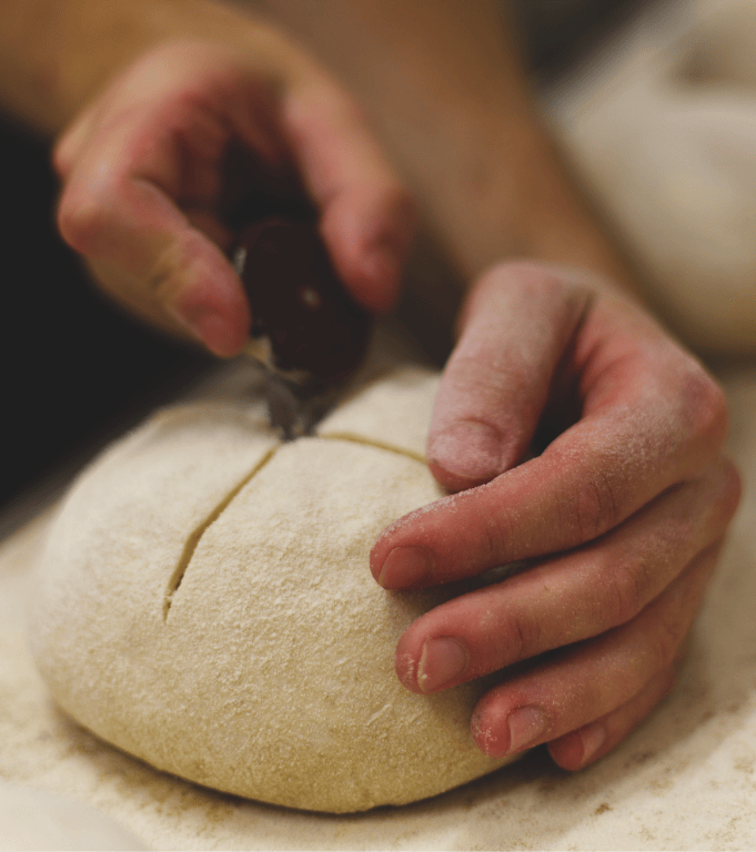 triticum micropanificio agricolo i nostri pani roma