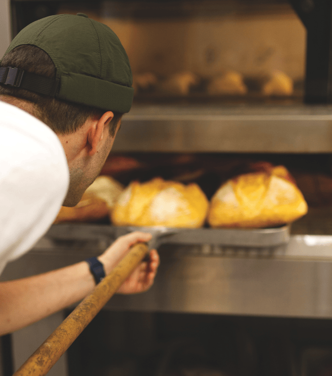 triticum micropanificio agricolo rete virtuosa locali